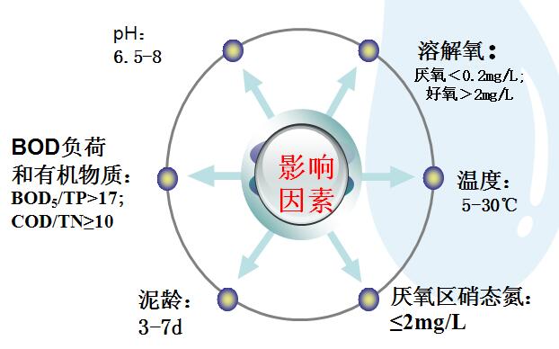 生物除磷影響