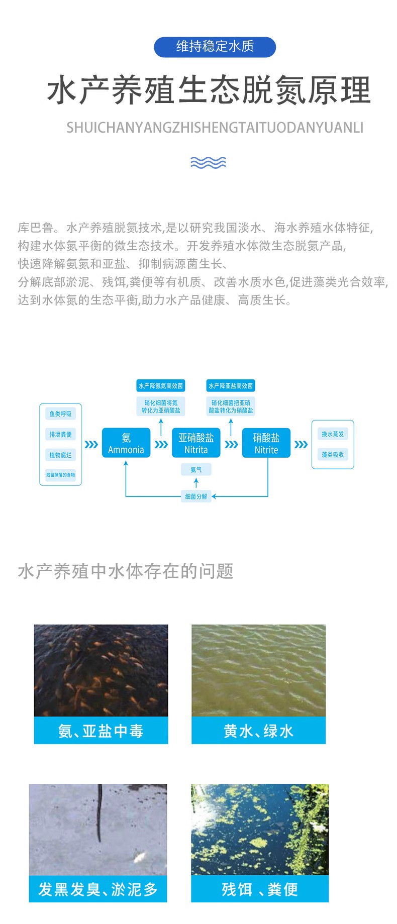 水產(chǎn)養(yǎng)殖脫氮